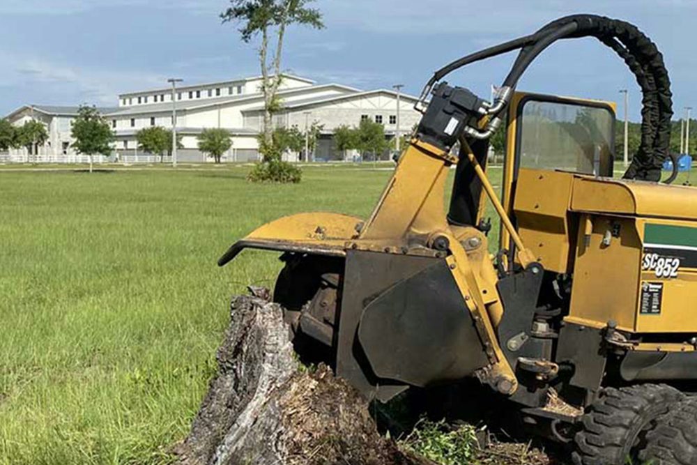 Stump grinder machine grinding a tree stump below ground level